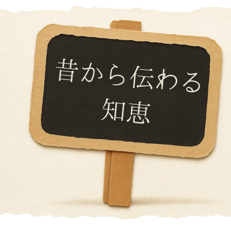 ビワのコラム
